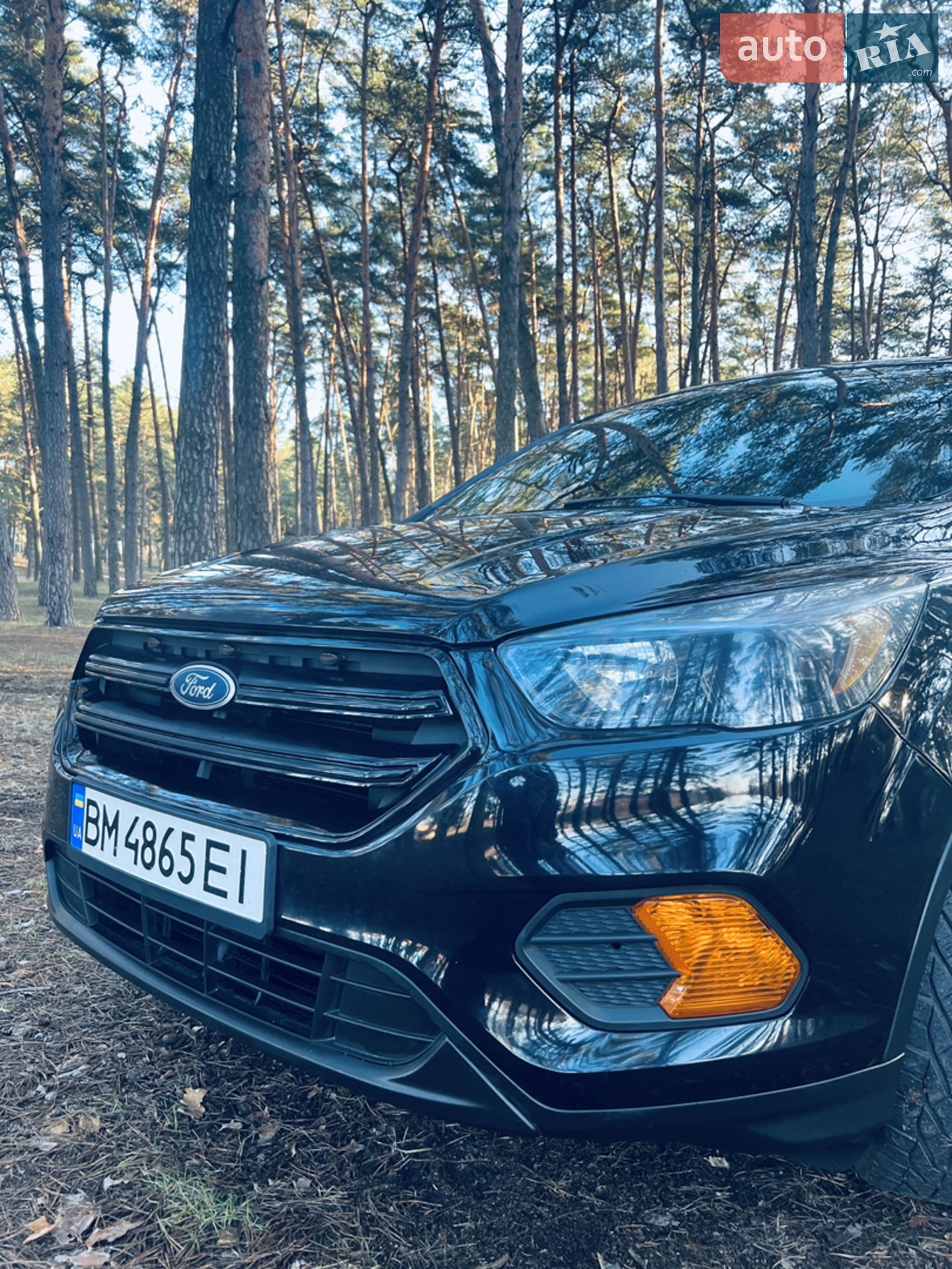 2019 Ford Escape - мініатюра 16