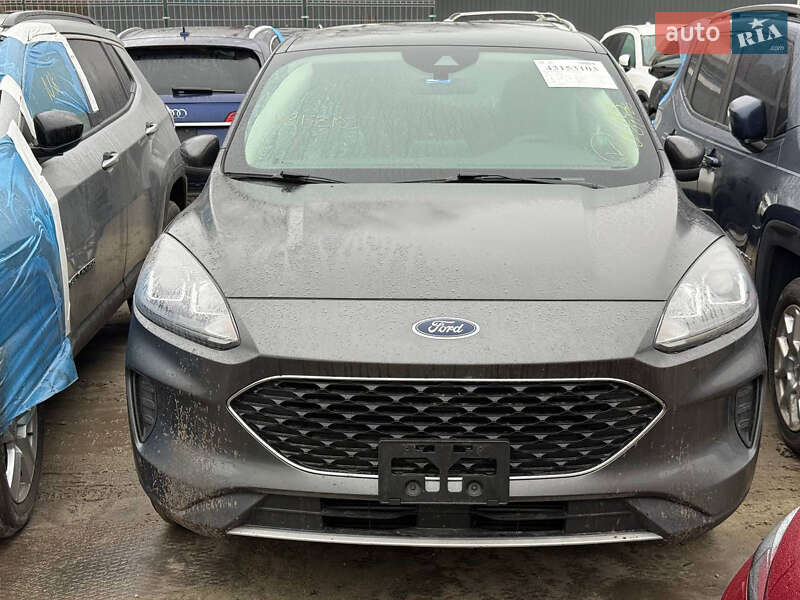 Внедорожник / Кроссовер Ford Escape 2019 в Львове фото 2 Внедорожник / Кроссовер Ford Escape 2019 в Львове