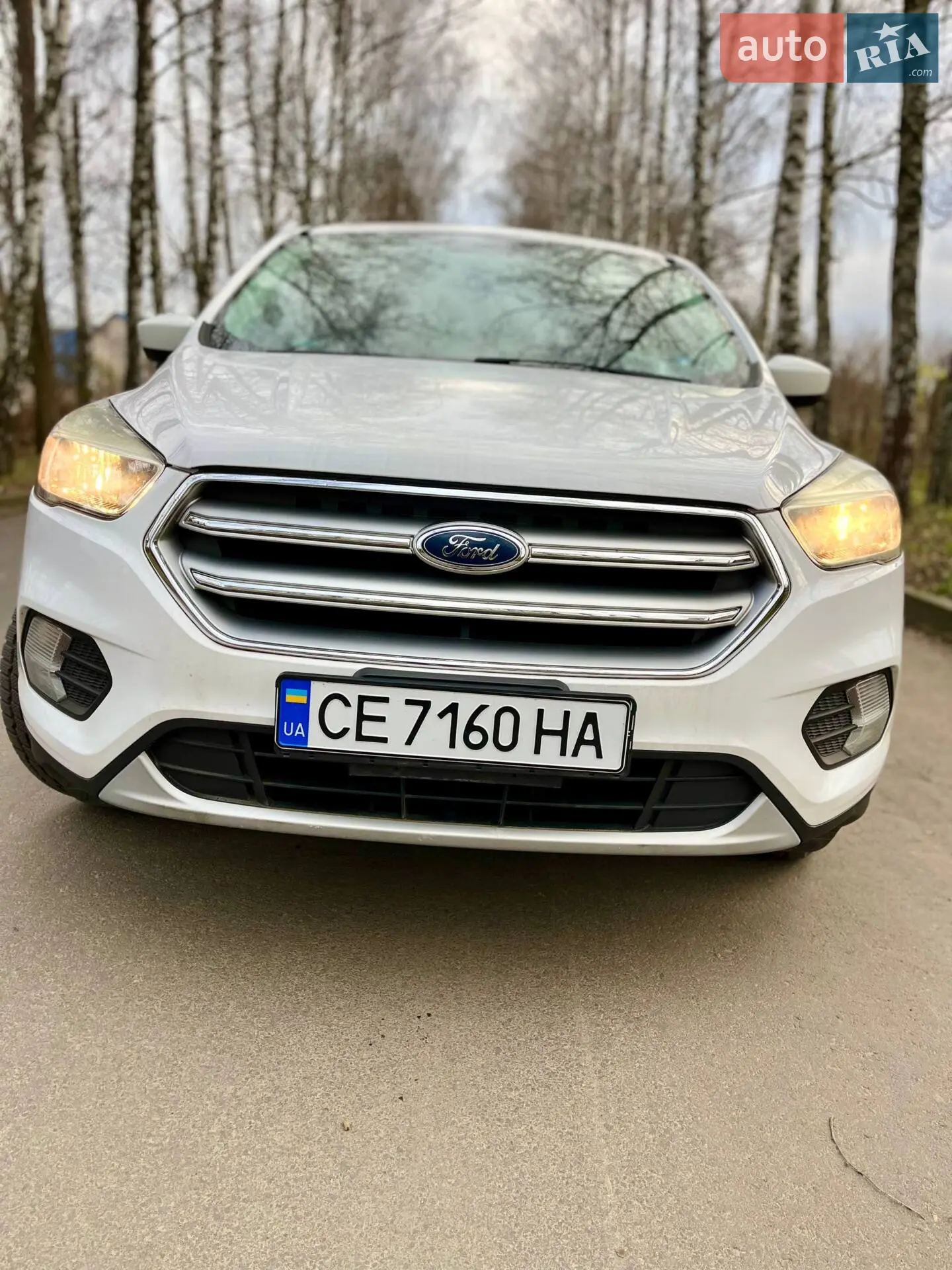 2017 Ford Escape - мініатюра 3