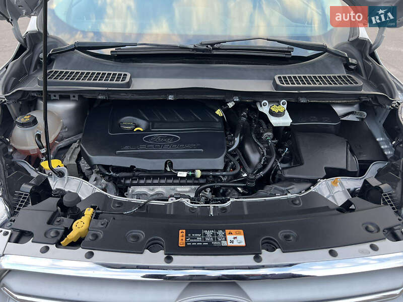 Внедорожник / Кроссовер Ford Escape 2018 в Днепре фото 31 Внедорожник / Кроссовер Ford Escape 2018 в Днепре