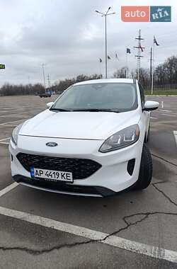 Позашляховик / Кросовер Ford Escape 2019 в Запоріжжі