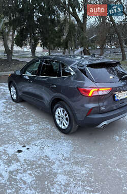 Внедорожник / Кроссовер Ford Escape 2020 в Львове