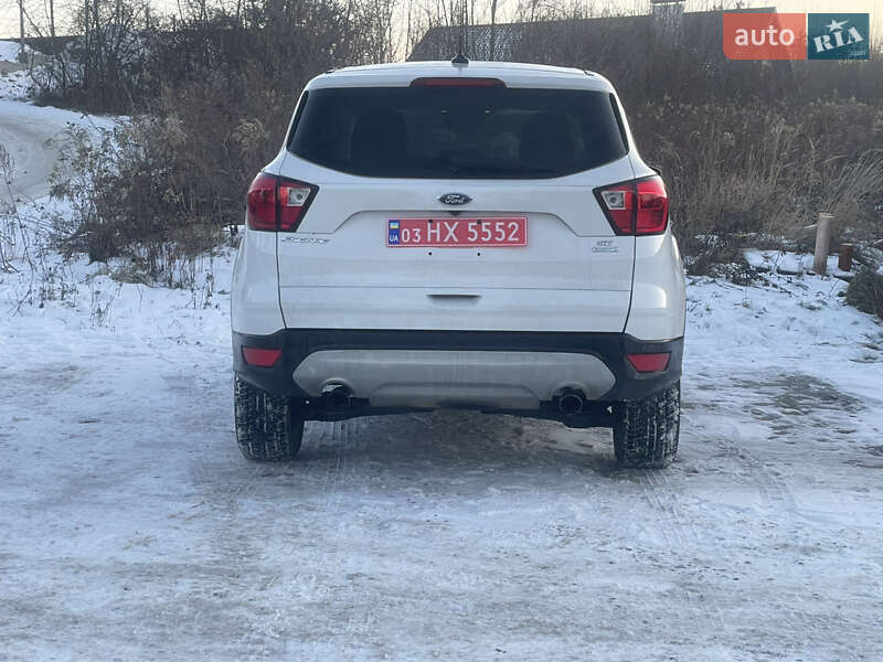 Внедорожник / Кроссовер Ford Escape 2019 в Львове фото 6 Внедорожник / Кроссовер Ford Escape 2019 в Львове