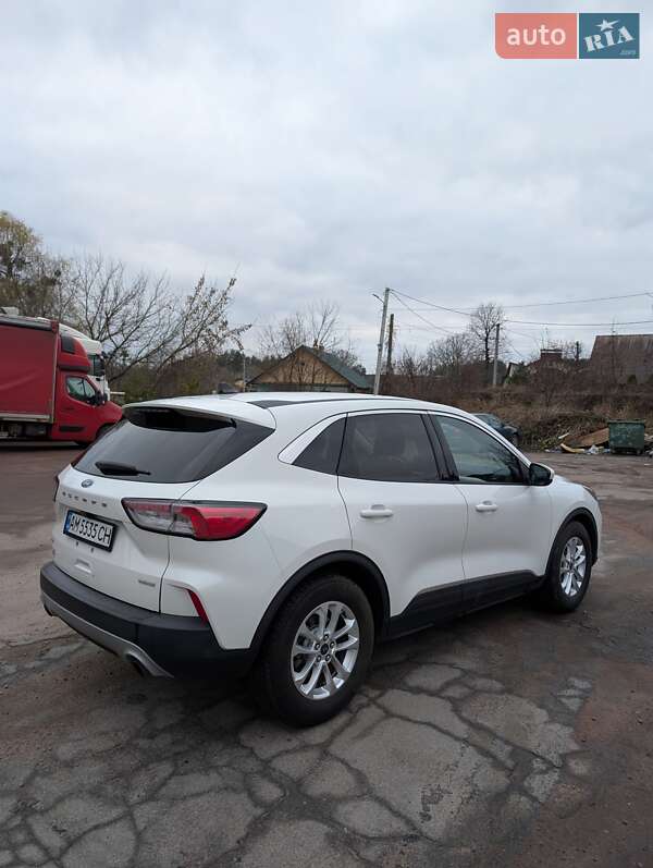 Внедорожник / Кроссовер Ford Escape 2020 в Житомире фото 4 Внедорожник / Кроссовер Ford Escape 2020 в Житомире