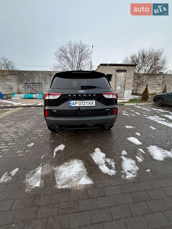 Внедорожник / Кроссовер Ford Escape 2021 в Запорожье