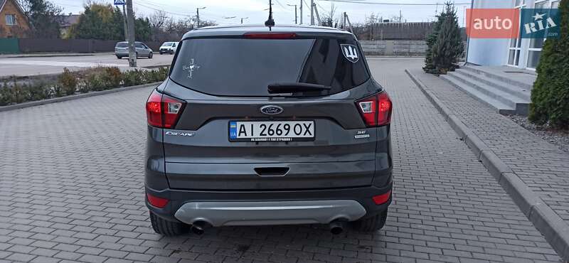 Внедорожник / Кроссовер Ford Escape 2019 в Житомире