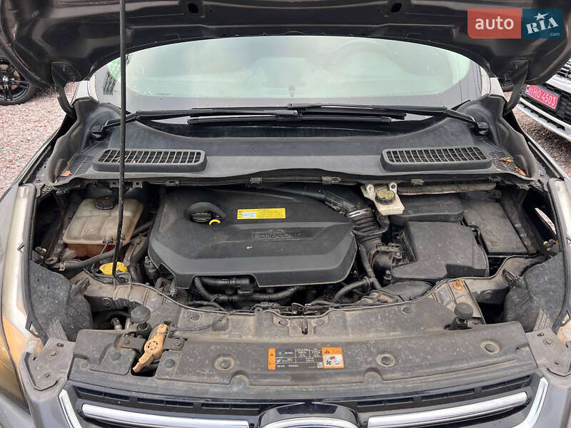 Внедорожник / Кроссовер Ford Escape 2012 в Полтаве