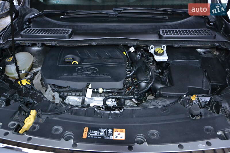 Внедорожник / Кроссовер Ford Escape 2017 в Полтаве фото 29 Внедорожник / Кроссовер Ford Escape 2017 в Полтаве