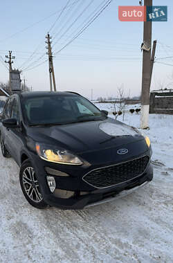 Внедорожник / Кроссовер Ford Escape 2020 в Гайвороне
