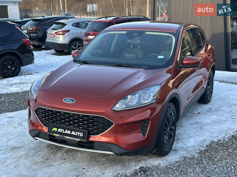 Внедорожник / Кроссовер Ford Escape 2019 в Львове