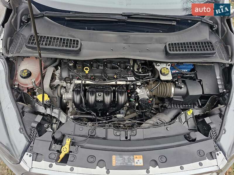 Внедорожник / Кроссовер Ford Escape 2019 в Львове