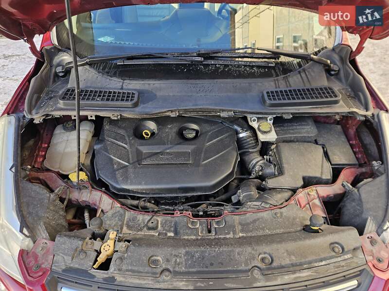 Внедорожник / Кроссовер Ford Escape 2014 в Киеве фото 9 Внедорожник / Кроссовер Ford Escape 2014 в Киеве