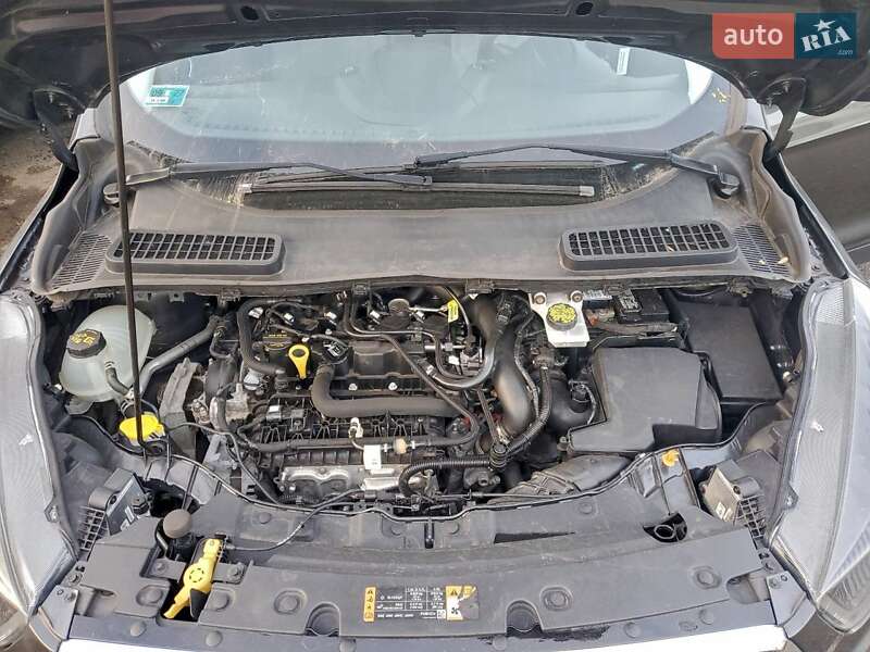 Внедорожник / Кроссовер Ford Escape 2019 в Полтаве фото 12 Внедорожник / Кроссовер Ford Escape 2019 в Полтаве