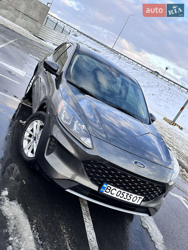 Внедорожник / Кроссовер Ford Escape 2019 в Львове