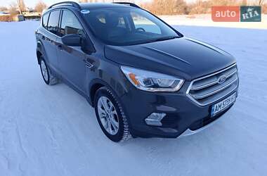Внедорожник / Кроссовер Ford Escape 2019 в Киеве