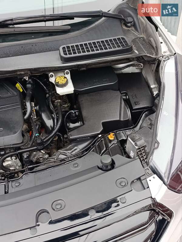 Внедорожник / Кроссовер Ford Escape 2017 в Житомире