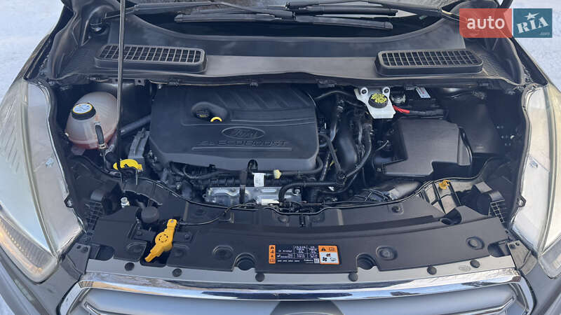 Позашляховик / Кросовер Ford Escape 2017 в Дубні фото 33 Позашляховик / Кросовер Ford Escape 2017 в Дубні