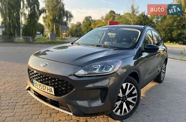 Позашляховик / Кросовер Ford Escape 2019 в Тернополі