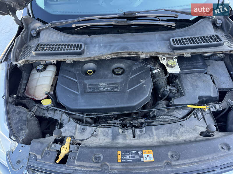 Внедорожник / Кроссовер Ford Escape 2012 в Киеве фото 35 Внедорожник / Кроссовер Ford Escape 2012 в Киеве