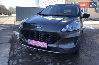 Позашляховик / Кросовер Ford Escape 2020 в Сокалі