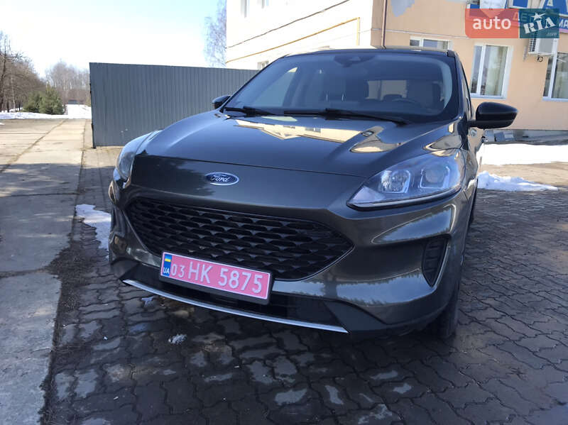 Внедорожник / Кроссовер Ford Escape 2020 в Сокале