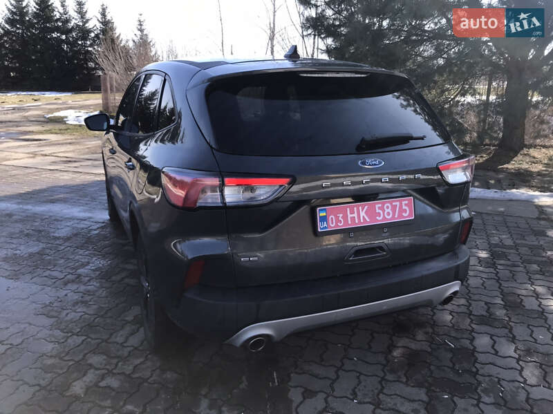 Внедорожник / Кроссовер Ford Escape 2020 в Сокале