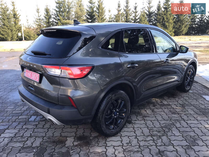 Внедорожник / Кроссовер Ford Escape 2020 в Сокале