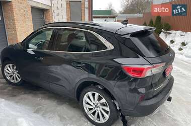 Внедорожник / Кроссовер Ford Escape 2022 в Киеве
