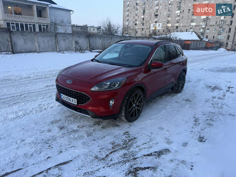 Внедорожник / Кроссовер Ford Escape 2019 в Умани