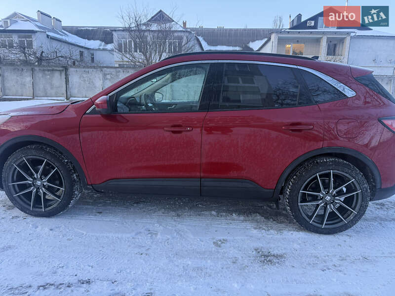 Внедорожник / Кроссовер Ford Escape 2019 в Умани