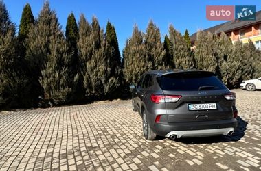 Внедорожник / Кроссовер Ford Escape 2021 в Самборе