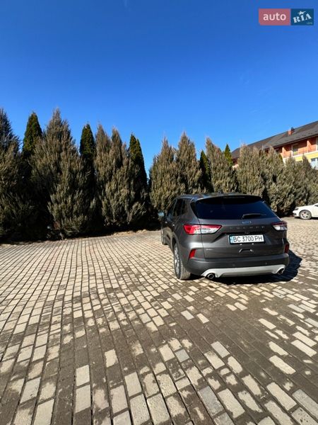 Внедорожник / Кроссовер Ford Escape 2021 в Самборе