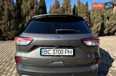 Внедорожник / Кроссовер Ford Escape 2021 в Самборе