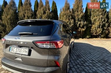 Внедорожник / Кроссовер Ford Escape 2021 в Самборе