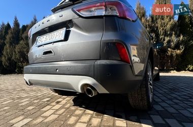 Внедорожник / Кроссовер Ford Escape 2021 в Самборе