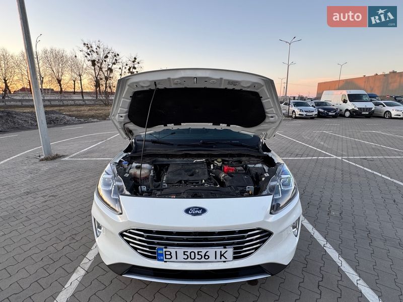 Внедорожник / Кроссовер Ford Escape 2019 в Вышгороде