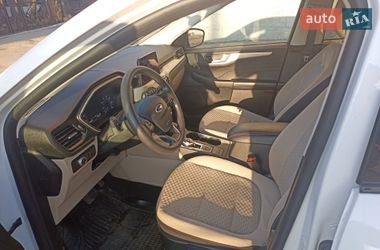 Позашляховик / Кросовер Ford Escape 2021 в Житомирі