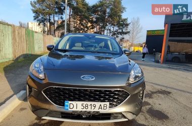 Позашляховик / Кросовер Ford Escape 2020 в Житомирі