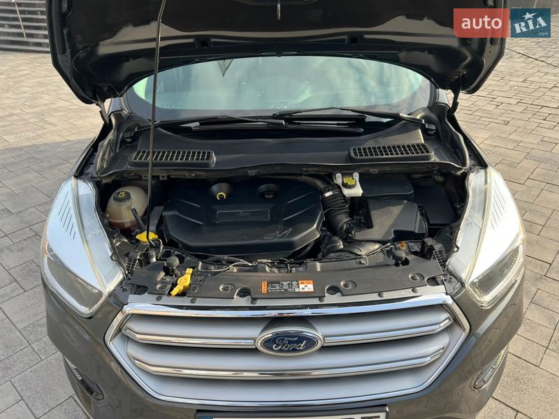 Позашляховик / Кросовер Ford Escape 2017 в Запоріжжі