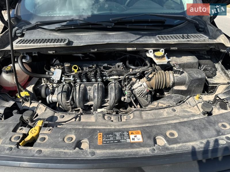 Внедорожник / Кроссовер Ford Escape 2019 в Броварах фото 14 Внедорожник / Кроссовер Ford Escape 2019 в Броварах