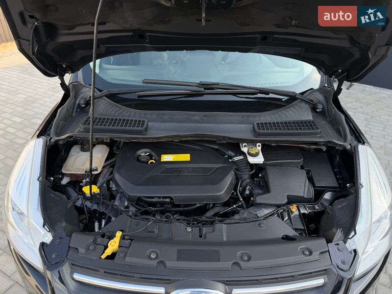 Внедорожник / Кроссовер Ford Escape 2014 в Черновцах фото 65 Внедорожник / Кроссовер Ford Escape 2014 в Черновцах