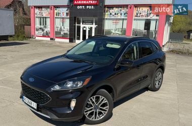 Позашляховик / Кросовер Ford Escape 2020 в Солотвині