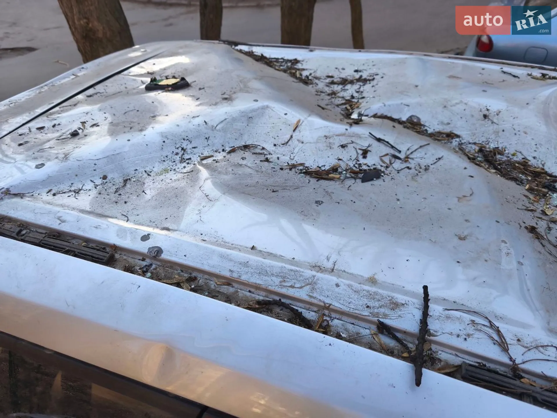 2019 Ford Escape - мініатюра 12