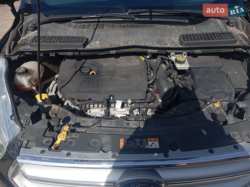 Внедорожник / Кроссовер Ford Escape 2017 в Львове фото 10 Внедорожник / Кроссовер Ford Escape 2017 в Львове