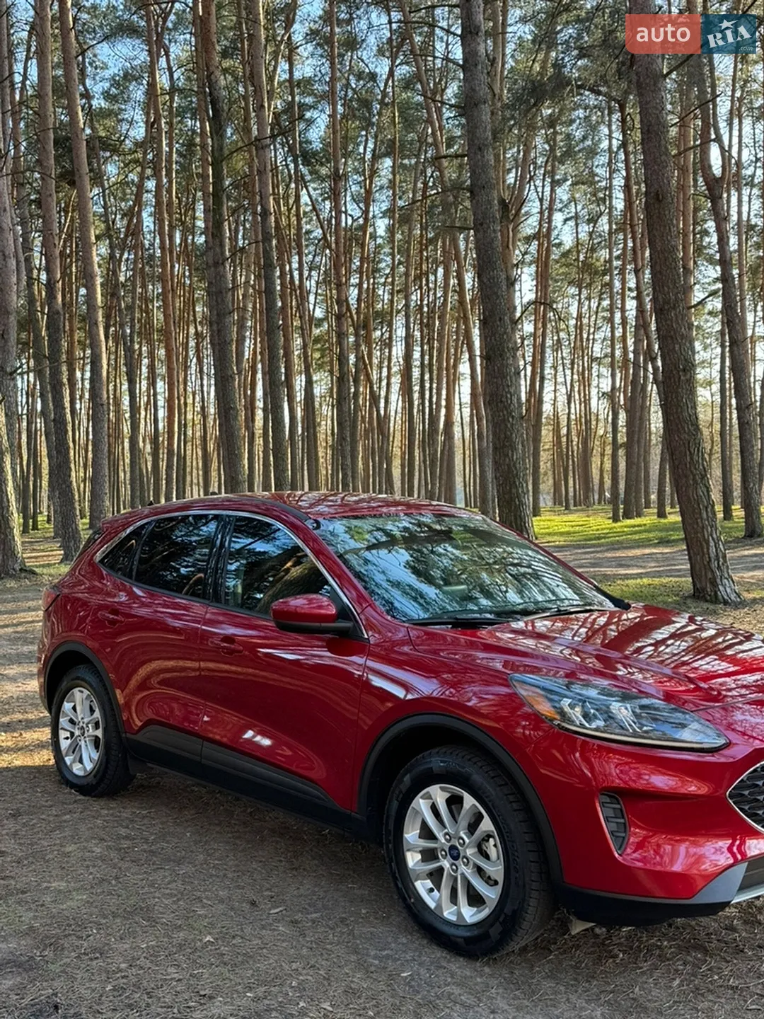 2020 Ford Escape - мініатюра 4