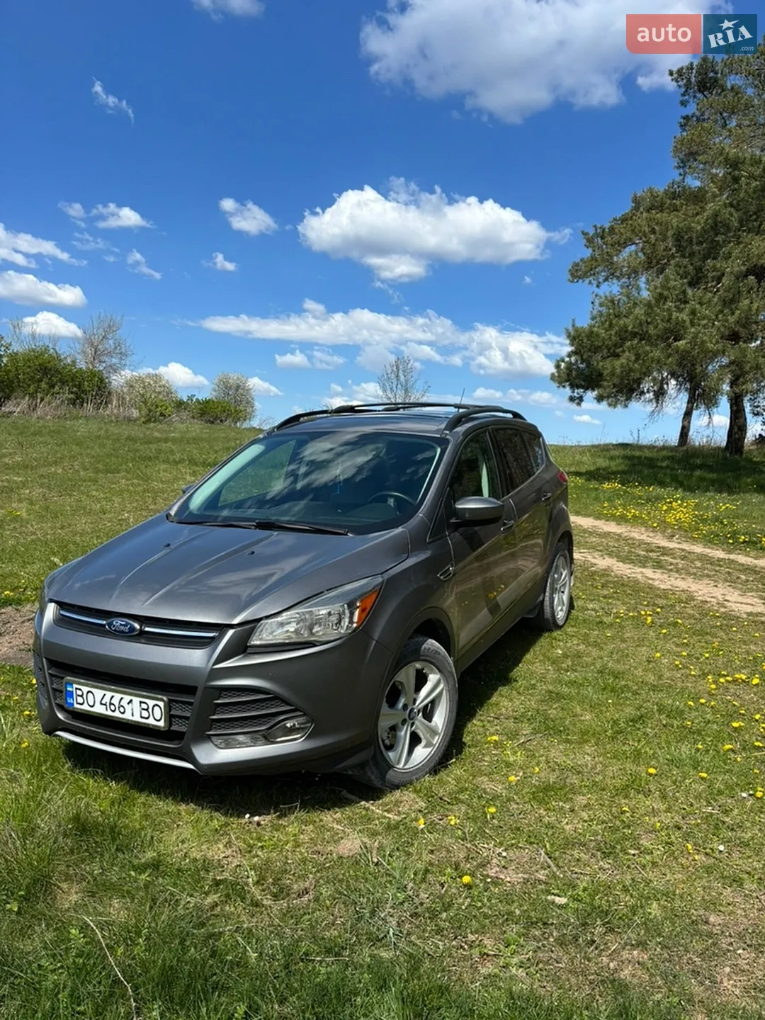 2014 Ford Escape - фото 1