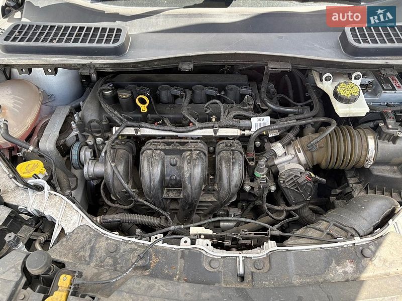 Внедорожник / Кроссовер Ford Escape 2019 в Стрые