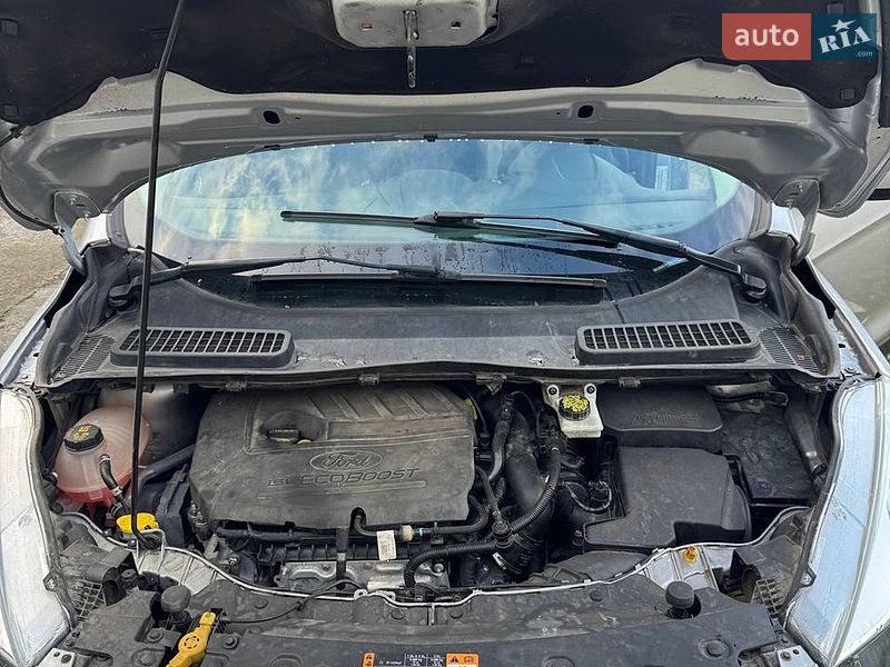 Позашляховик / Кросовер Ford Escape 2017 в Чернівцях