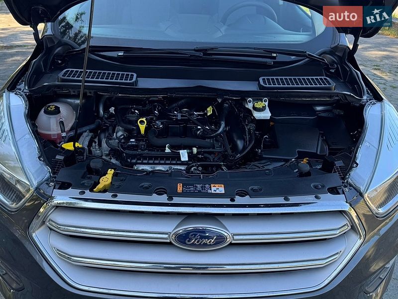 Позашляховик / Кросовер Ford Escape 2019 в Дубні