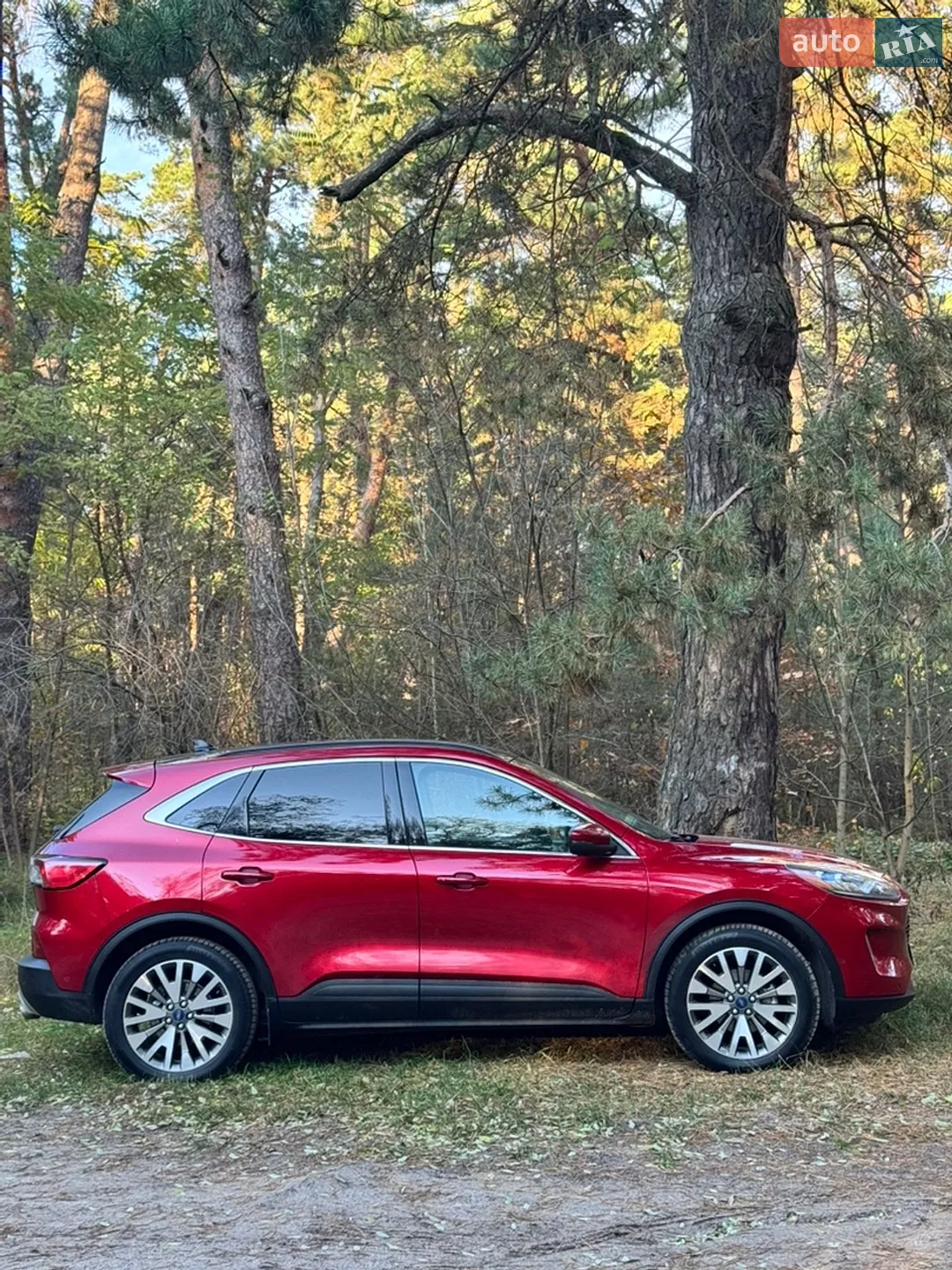 2019 Ford Escape - мініатюра 4
